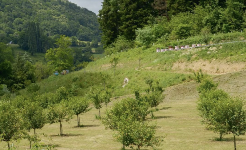 Les Grands Moulins de Crossey