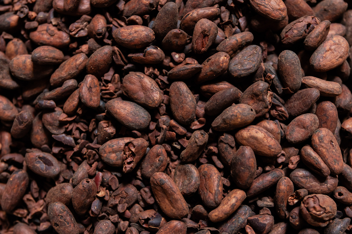 Pourquoi le séchage au soleil compte autant pour le cacao